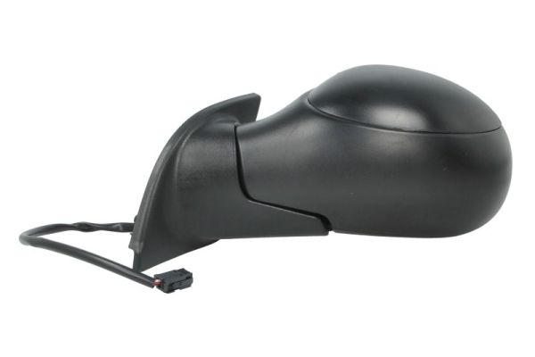 Blic Buitenspiegel 5402-04-1125851P