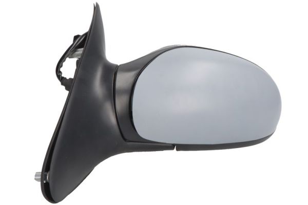 Blic Buitenspiegel 5402-04-1125859P