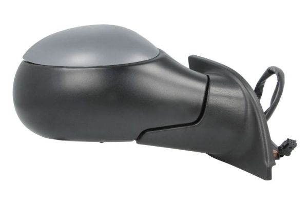 Blic Buitenspiegel 5402-04-1128851P