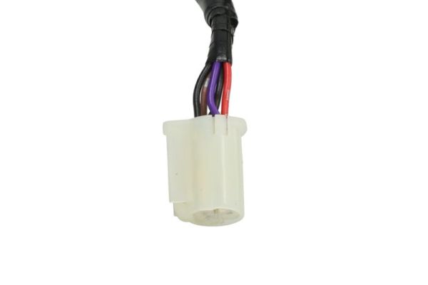 Blic Buitenspiegel 5402-04-1129215P