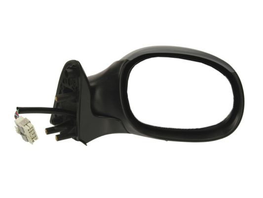 Blic Buitenspiegel 5402-04-1129312