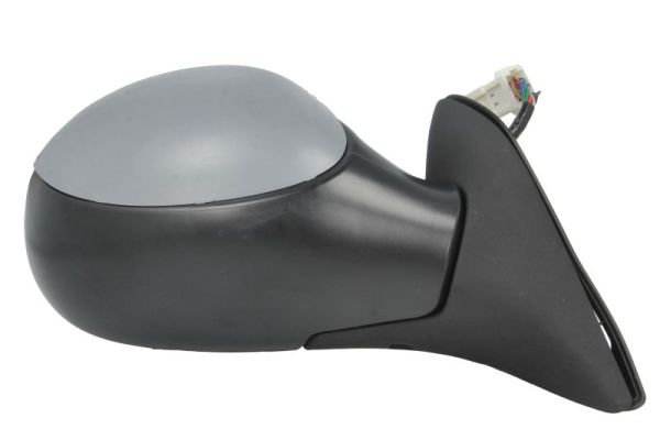 Blic Buitenspiegel 5402-04-1129312P