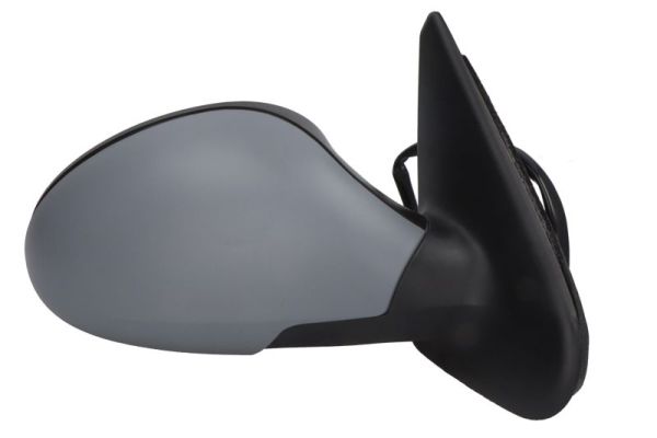 Blic Buitenspiegel 5402-04-1129997P