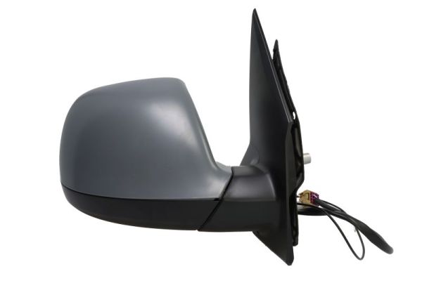 Blic Buitenspiegel 5402-04-1623354P