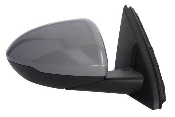 Blic Buitenspiegel 5402-04-1785311P