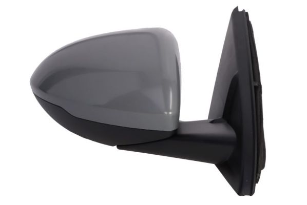 Blic Buitenspiegel 5402-04-1785313P