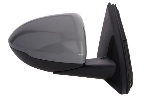 Blic Buitenspiegel 5402-04-1785317P