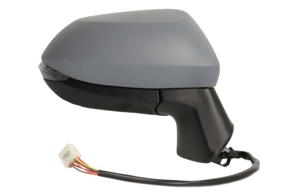 Blic Buitenspiegel 5402-04-2176311P