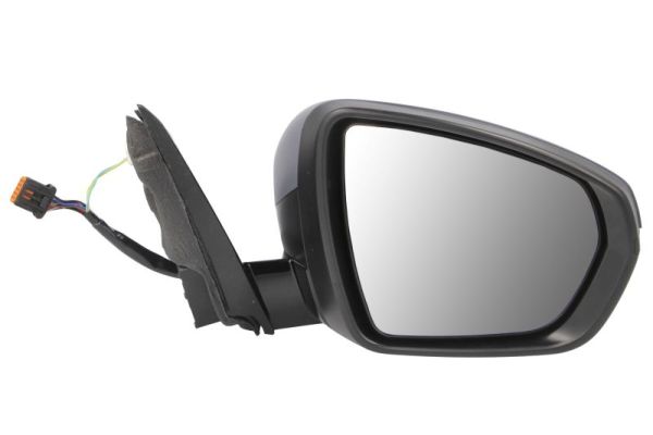 Blic Buitenspiegel 5402-04-2304313P