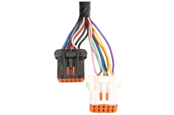 Blic Buitenspiegel 5402-04-2304315P