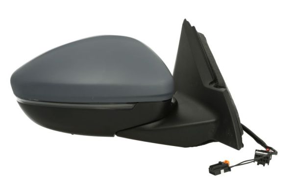 Blic Buitenspiegel 5402-04-2440311P