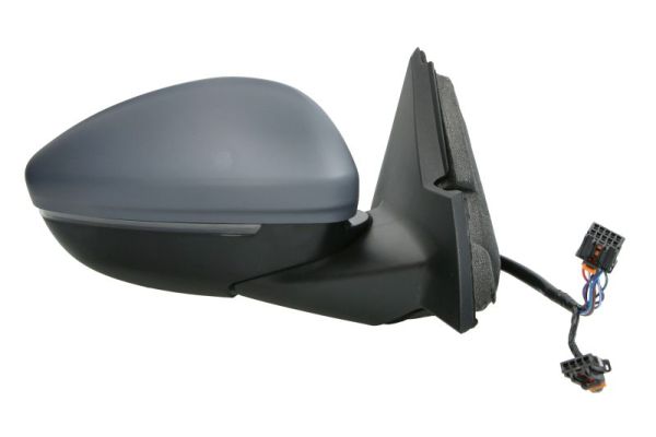 Blic Buitenspiegel 5402-04-2440313P