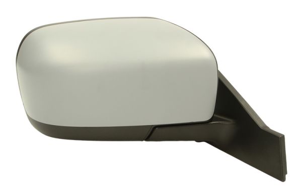Blic Buitenspiegel 5402-04-9221321