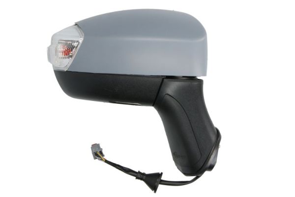 Blic Buitenspiegel 5402-04-9929384P