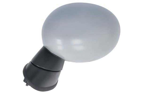 Blic Buitenspiegel 5402-05-0877312P