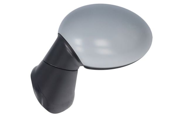 Blic Buitenspiegel 5402-05-0884310P