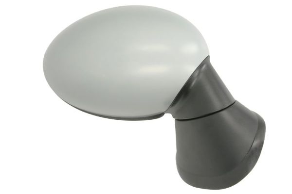 Blic Buitenspiegel 5402-05-0884311P