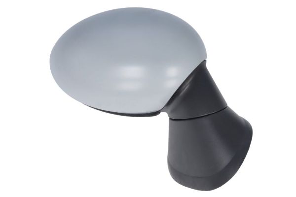 Blic Buitenspiegel 5402-05-0884313P