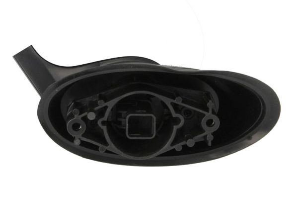 Blic Buitenspiegel 5402-05-2184311P