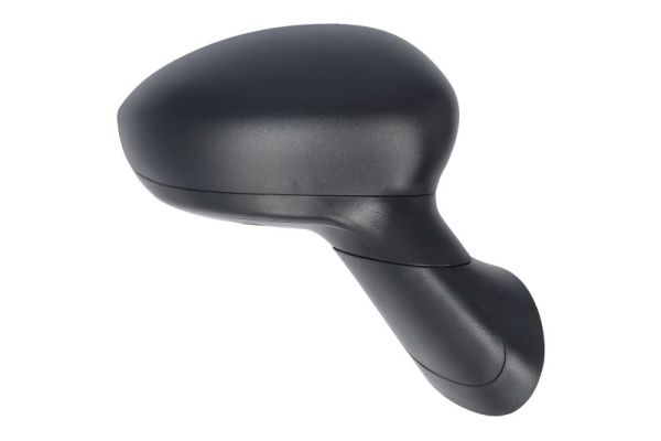 Blic Buitenspiegel 5402-07-0299310P