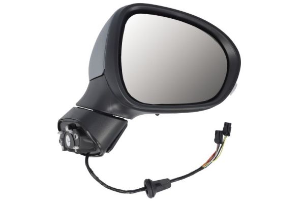 Blic Buitenspiegel 5402-07-0302313P