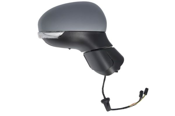 Blic Buitenspiegel 5402-07-0302313P