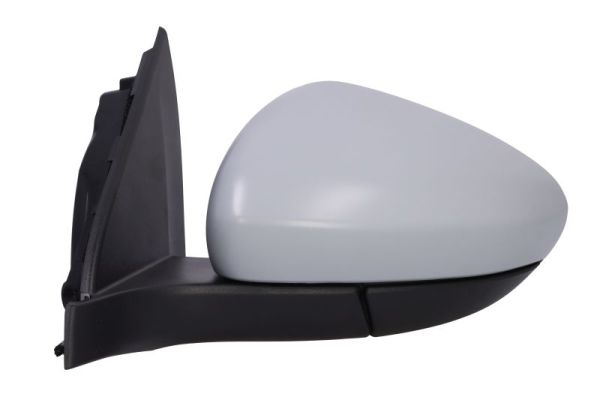 Blic Buitenspiegel 5402-07-0354312P