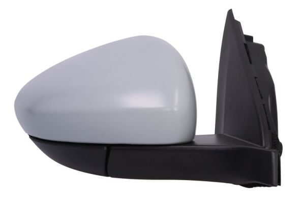 Blic Buitenspiegel 5402-07-0354313P