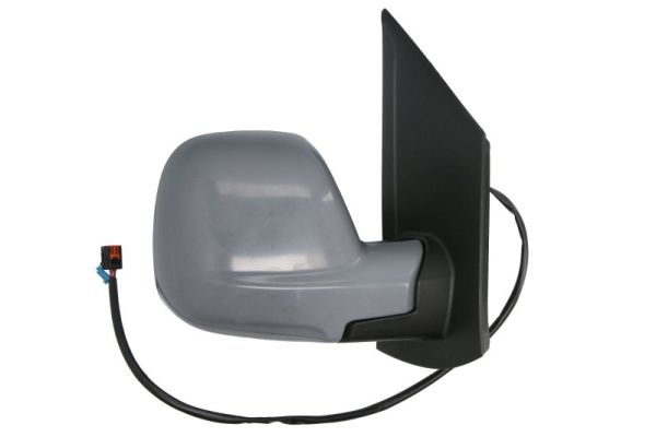 Blic Buitenspiegel 5402-07-2491311P