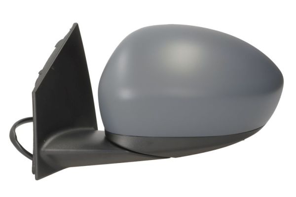 Blic Buitenspiegel 5402-07-2590310P