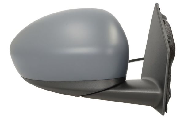 Blic Buitenspiegel 5402-07-2590313P