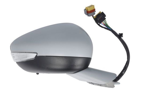 Blic Buitenspiegel 5402-08-1141311P