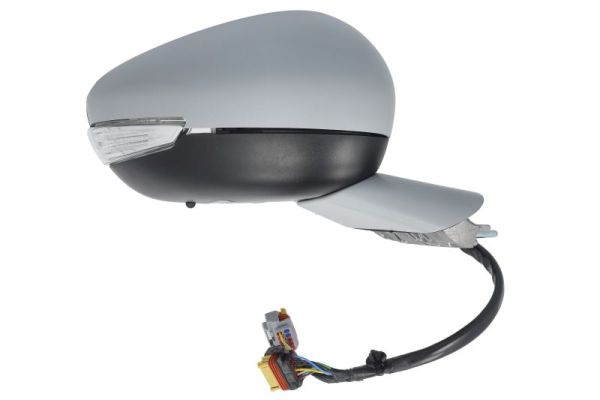 Blic Buitenspiegel 5402-08-1141313P