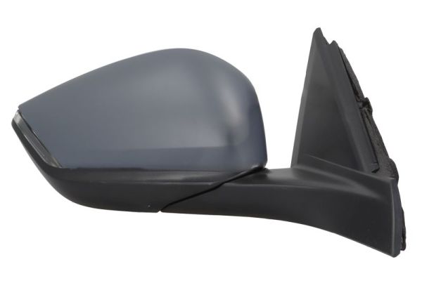 Blic Buitenspiegel 5402-08-2543311P