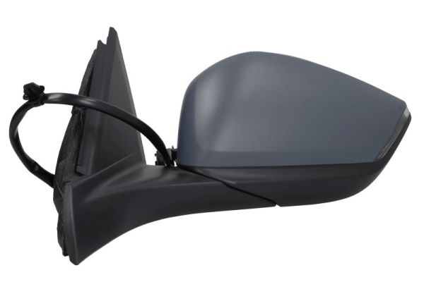 Blic Buitenspiegel 5402-08-2543315P