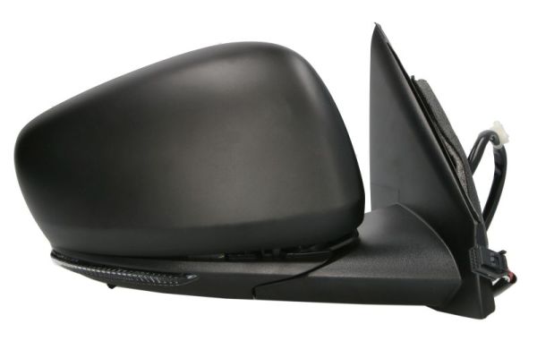 Blic Buitenspiegel 5402-09-1208311P