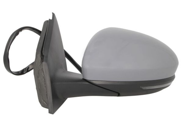 Blic Buitenspiegel 5402-09-1231365P