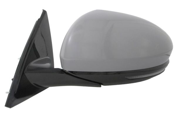 Blic Buitenspiegel 5402-09-1243314P