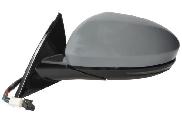 Blic Buitenspiegel 5402-09-1243318P