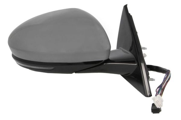 Blic Buitenspiegel 5402-09-1243319P