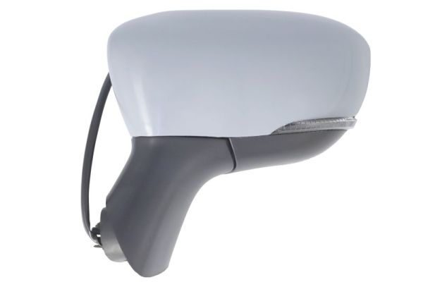 Blic Buitenspiegel 5402-09-1922310P