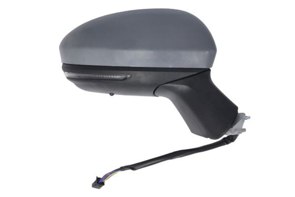 Blic Buitenspiegel 5402-09-2313311P