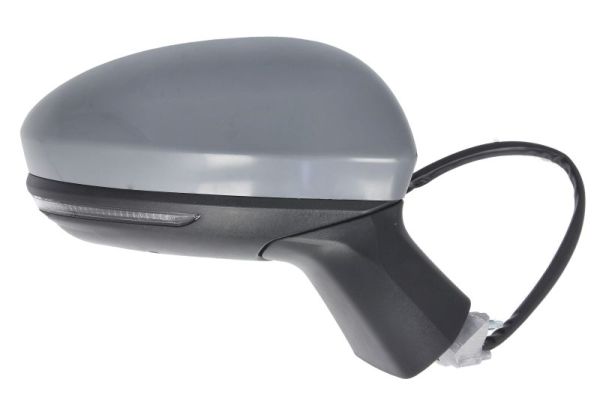 Blic Buitenspiegel 5402-09-2313315P