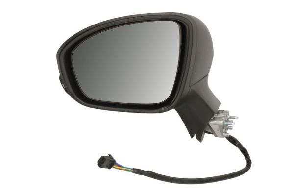 Blic Buitenspiegel 5402-09-2313316P