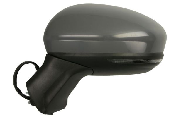 Blic Buitenspiegel 5402-09-2345312P