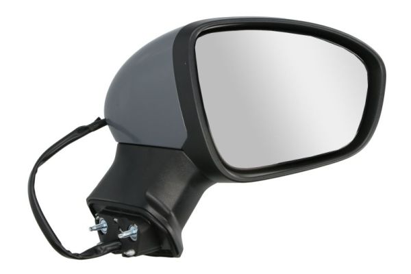 Blic Buitenspiegel 5402-09-2345313P