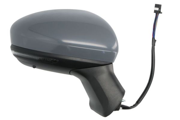 Blic Buitenspiegel 5402-09-2345313P