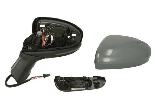 Blic Buitenspiegel 5402-09-2345316P