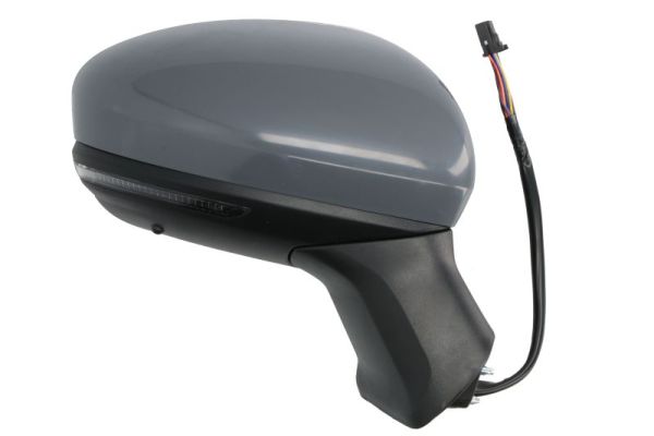 Blic Buitenspiegel 5402-09-2345317P