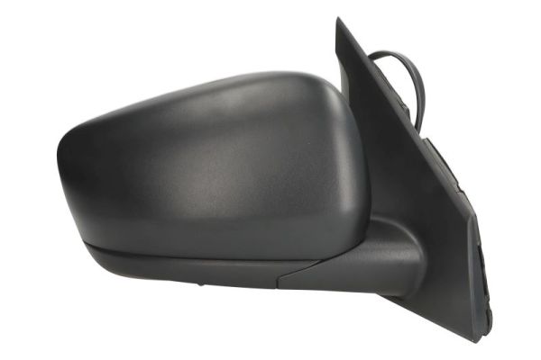 Blic Buitenspiegel 5402-09-2434313P